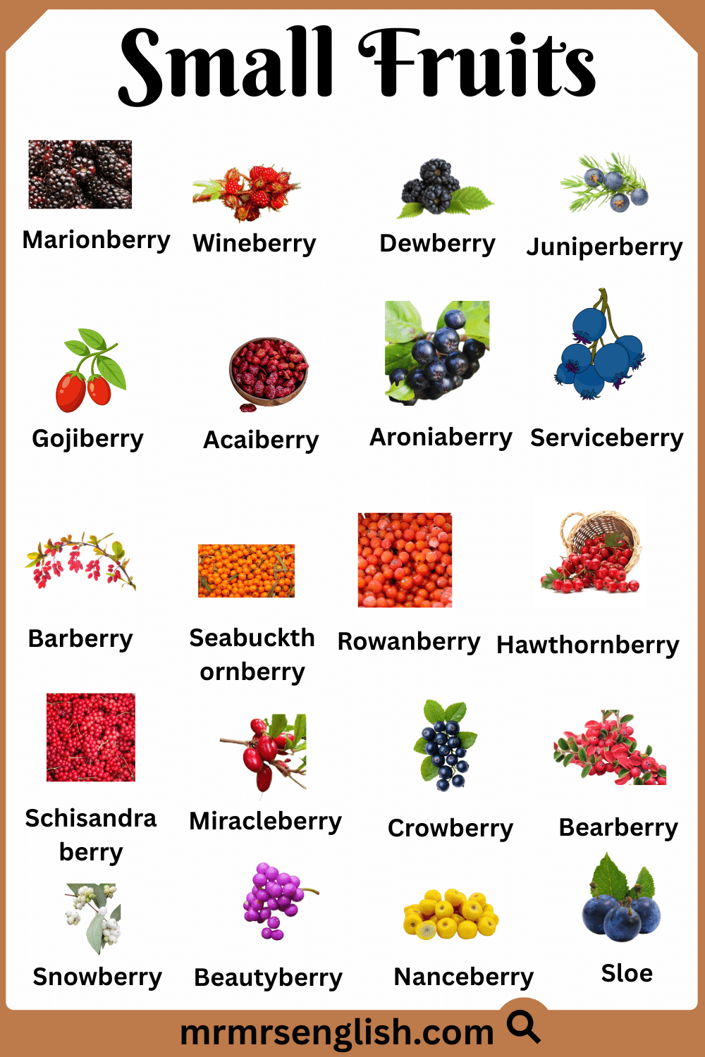 Common Small Fruits Names with Pictures