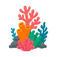 Coral | 100 Natural Things Names