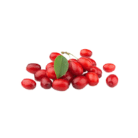 Corneliancherry | Small Fruits Names