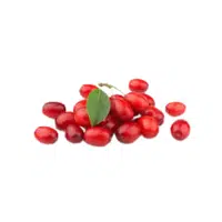 Corneliancherry | Small Fruits Names 