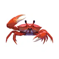 Crab | Crustaceans Names 