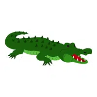 Crocodile | Vertebrates Animals Names 