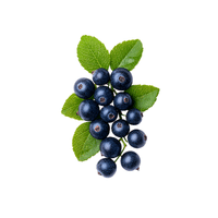 Crowberry | Small Fruits Names