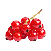 Currant | Small Fruits Names