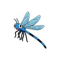 Damselfly