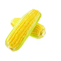 Dentcorn 