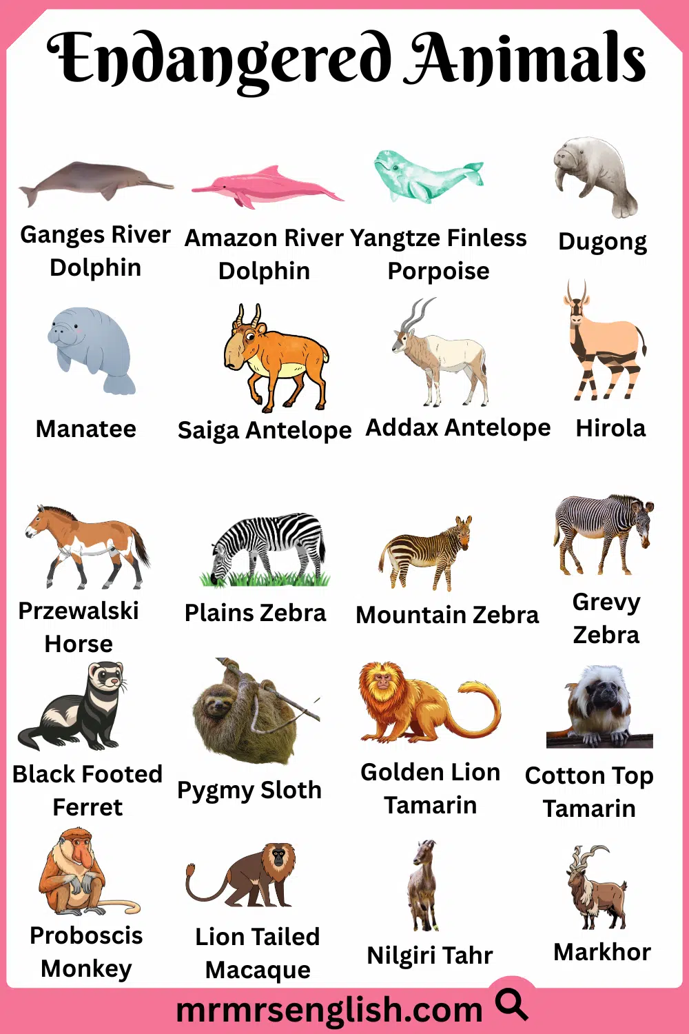 Different Types of Endangered Animals with Names and Pictures