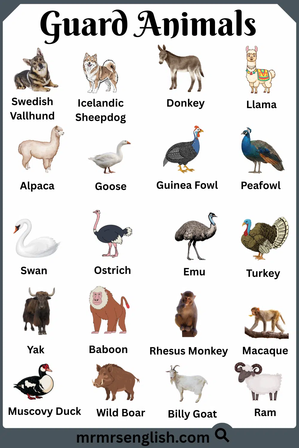 Different Types of Guard Animals with Names and Pictures