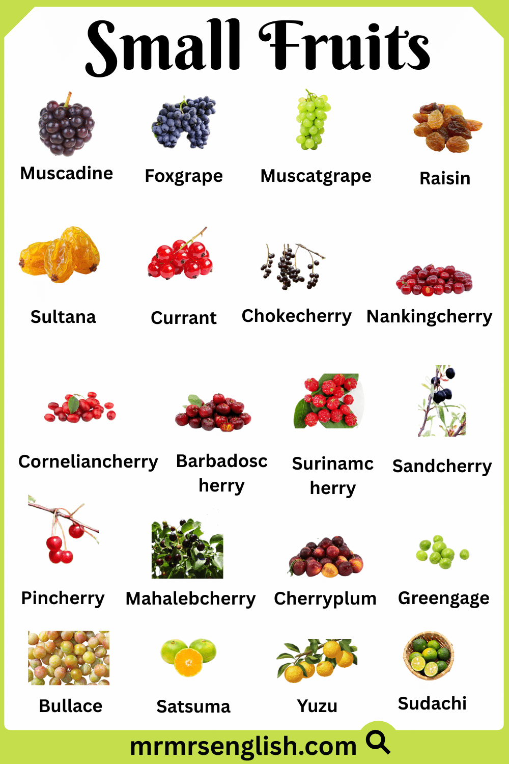 Different Types of Small Fruits with Names and Images