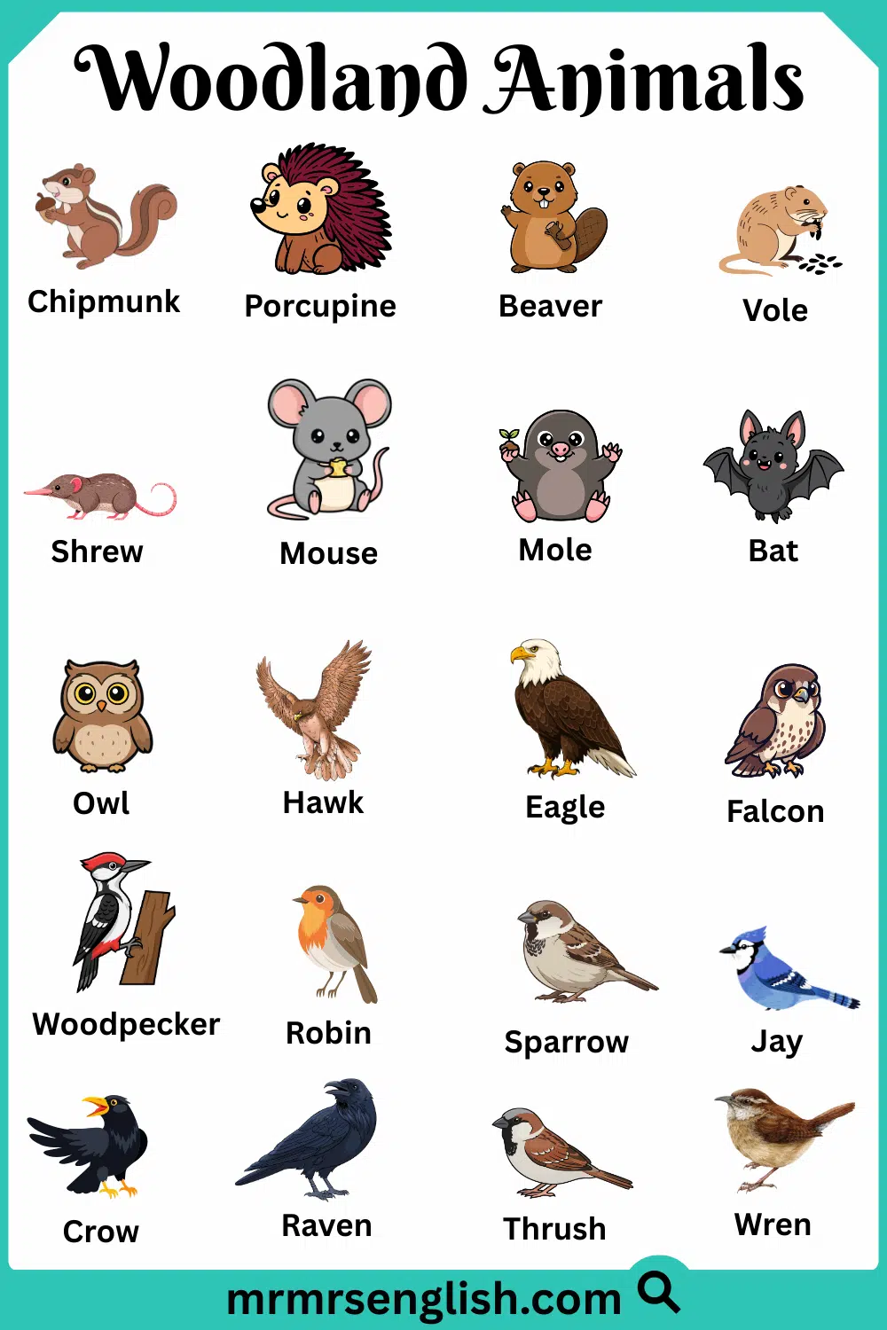 Different Types of Woodland Animals with Names and Images