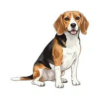 Dog | Vertebrates Animals Names 