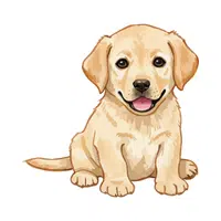 Dog | Friendly Animals Names