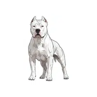 Dogo Argentino | Guard Animals Names 