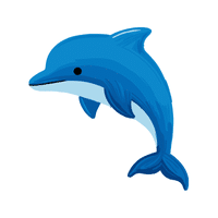 Dolphin | Carnivorous Animals Names