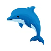 Dolphin | Carnivorous Animals Names