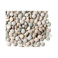 Dried Lentils | Lentils Names