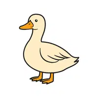 Duck | Friendly Animals Names