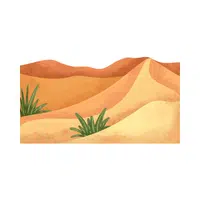 Dune | Landforms Names