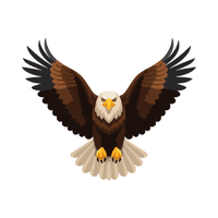 Eagle | Carnivorous Animals Names