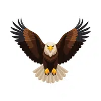 Eagle | Carnivorous Animals Names