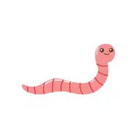 Earthworm