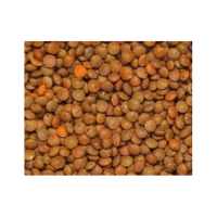 Earthy Lentils | Lentils Names