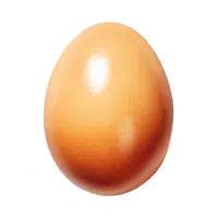 Egg | 100 Natural Things Names