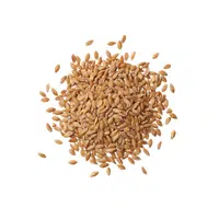 Einkorn | Cereals Names 