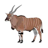 Eland | Largest Animals Names