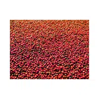 Eleusine | Cereals Names