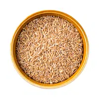 Emmer | Cereals Names