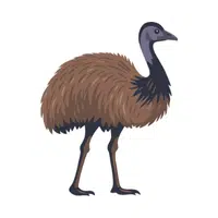 Emu | Largest Animals Names