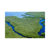 Estuary | Landforms Names 