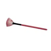 Fan Brush