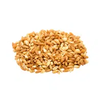 Farro | Cereals Names 