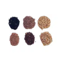 Fiber Lentils | Lentils Names