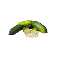 Fingerlime | Small Fruits Names