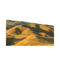 Foothills 