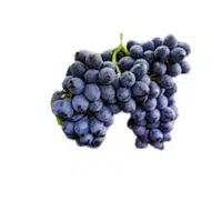 Foxgrape | Small Fruits Names