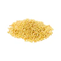 Foxtail Millet | Cereals Names 