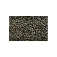 French Lentils | Lentils Names