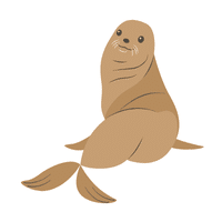 Fur Seal