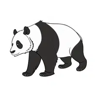 Giant Panda | Endangered Animals Names