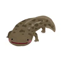 Giant Salamander | Largest Animals Names
