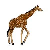 Giraffe | Vertebrates Animals Names 