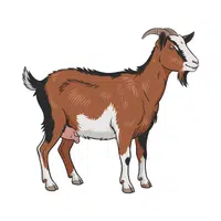 Goat | Vertebrates Animals Names