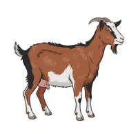 Goat | Friendly Animals Names