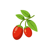 Gojiberry | Small Fruits Names