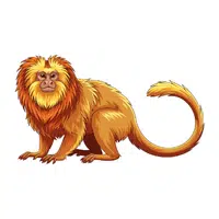 Golden Lion Tamarin