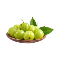 Gooseberry | Small Fruits Names